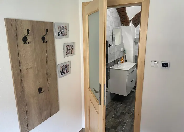 Borovanské Baroko 4* Borovany (Ceske Budejovice)